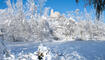231203 Winter Impressionen in Balzers, Triesen, Triesenberg - Schnee, Burg Gutenberg, See, Triesenberg, UFL