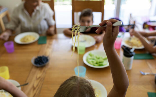 TAGESFAMILIE, GFZ, STIFTUNG GFZ, KINDERBETREUUNG, KINDERTAGESBETREUUNG, BETREUUNG, KINDERTAGESPFLEGE, ZUHAUSE, ZU HAUSE, WOHNUNG,  MITTAGESSEN, MITTAG ESSEN, ZMITTAG, ESSEN, MITTAGSTISCH, ESSTISCH, ESSZIMMER,  TAGESMUTTER, KINDERTAGESPFLEGEPERSON,  KINDER,