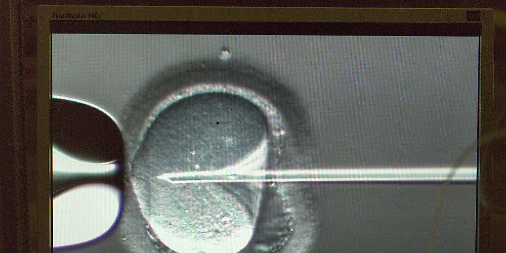 Der Eingriff ins Genom von Embryos in China fand nach künstlicher Befruchtung statt. (Symbolbild)