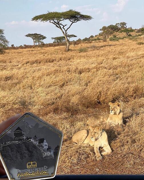 Serengeti-Park Niedersachsen DE