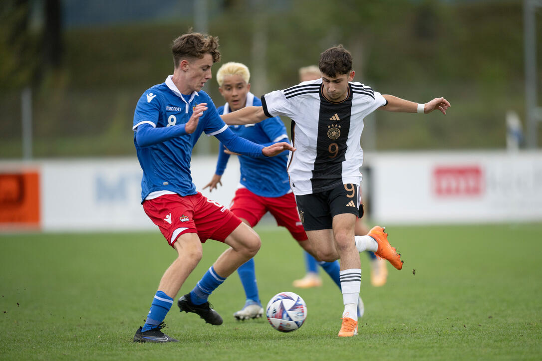 DEUTSCHLAND - LIECHTENSTEIN