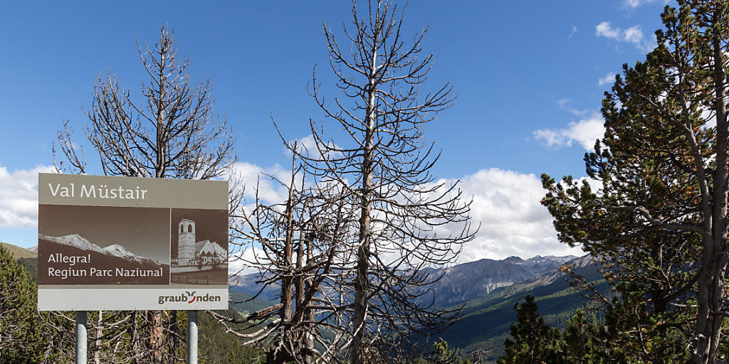 Das Münstertal und die Gemeinde Scuol kämpfen gegen den Verlust des Biosphären-Labels der UNESCO. (Archiv)
