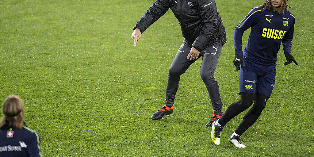 Vladimir Petkovic sagt seinen Spielern, was er sehen will.