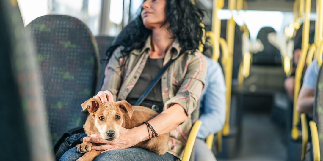 Woman traveling with her dog in the bus