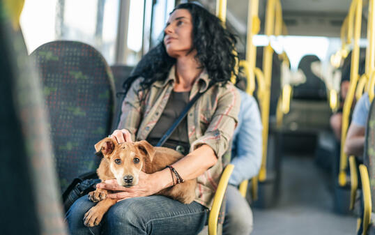 Woman traveling with her dog in the bus