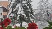 Winterwunderland Liechtenstein (03.12.23)