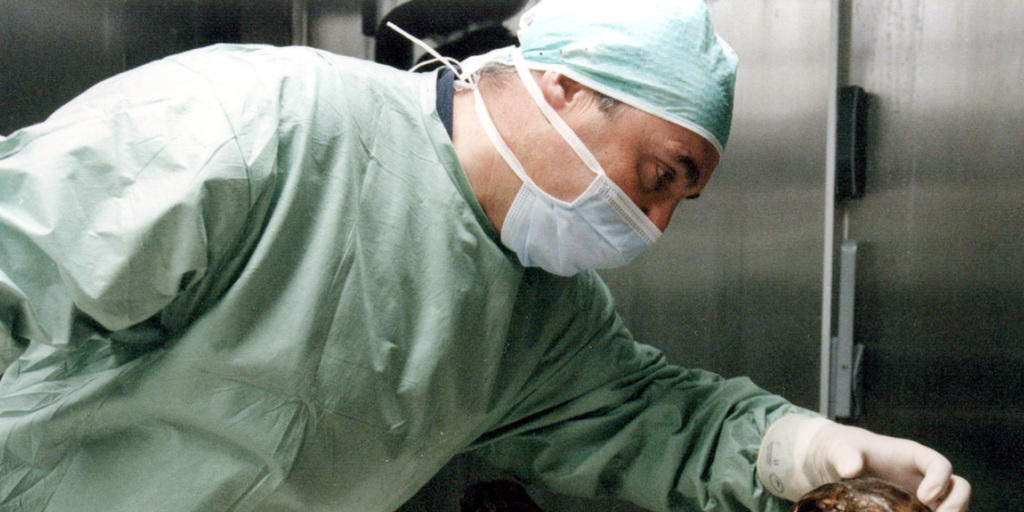 Der Gletschermann Ötzi wird seit seiner Entdeckung vor 25 Jahren intesiv von Wissenschaftlern untersucht. (Archivbild)