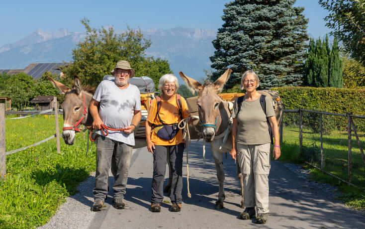 Packesel in Vaduz