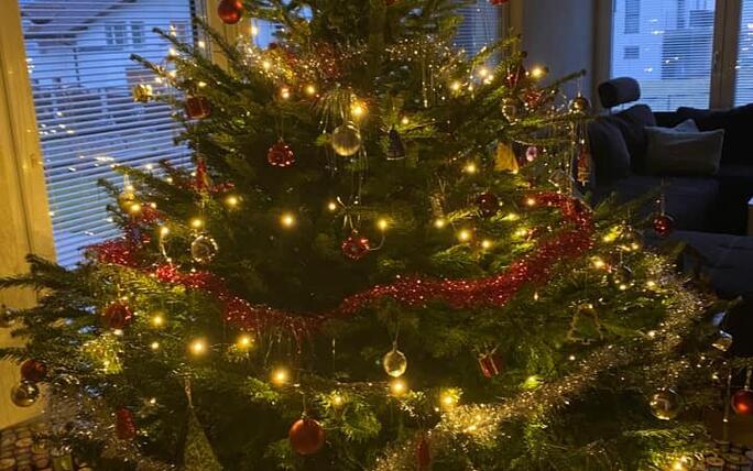 Fotowettbewerb: Zeig uns Deinen Christbaum 2022