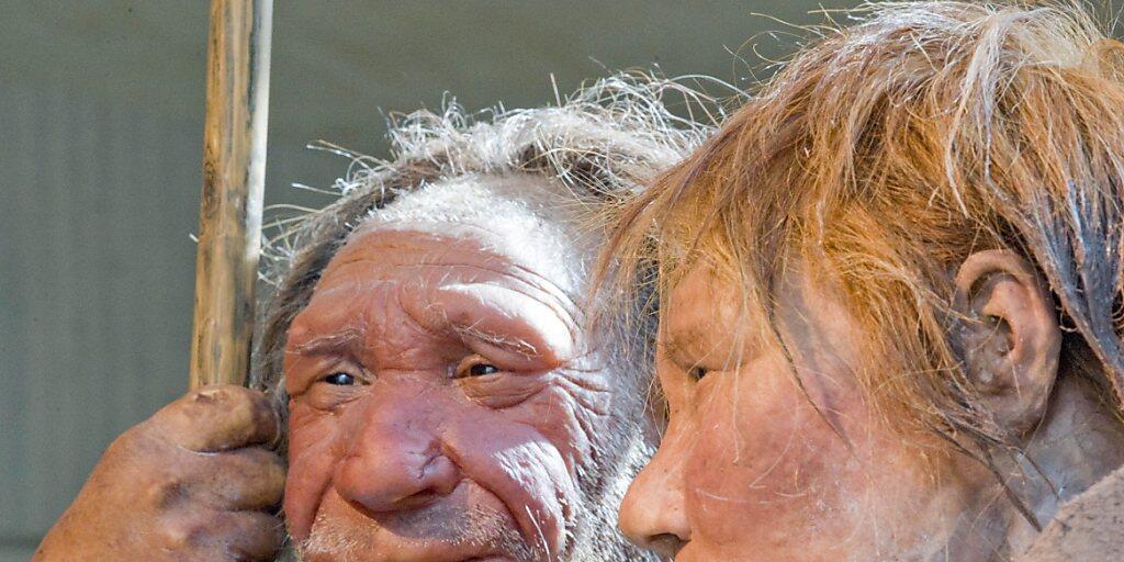 Neandertaler stellte man sich bisher eher grobschlächtig vor. Eine neue Studie beweist: Sie hatten durchaus Fingerspitzengefühl. (Archivbild)