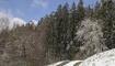 Schnee im Frühling