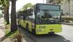 Liemobil-Busse in aller Welt unterwegs