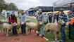 Seveler Herbstmarkt