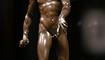 «Eines Fürsten würdig. Der Mars von Giambologna» im Landesmuseum