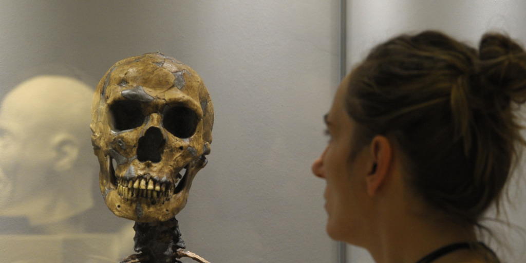 Nicht nur der moderne Mensch trägt ein bisschen Neandertaler in seinem Erbgut. Forscher haben herausgefunden, dass auch das Gegenteil der Fall war. (Archiv)