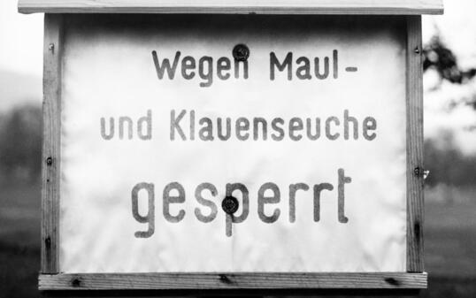 MAUL- UND KLAUENSEUCHE, BAUERNHOF,  WARNTAFEL, SCHILD,