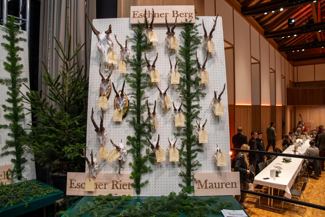 Hegeschau, in Schaan (28.02.2026)