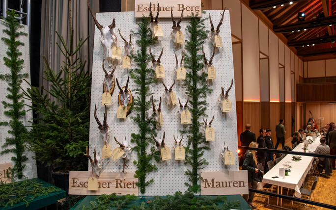 Hegeschau, in Schaan (28.02.2026)