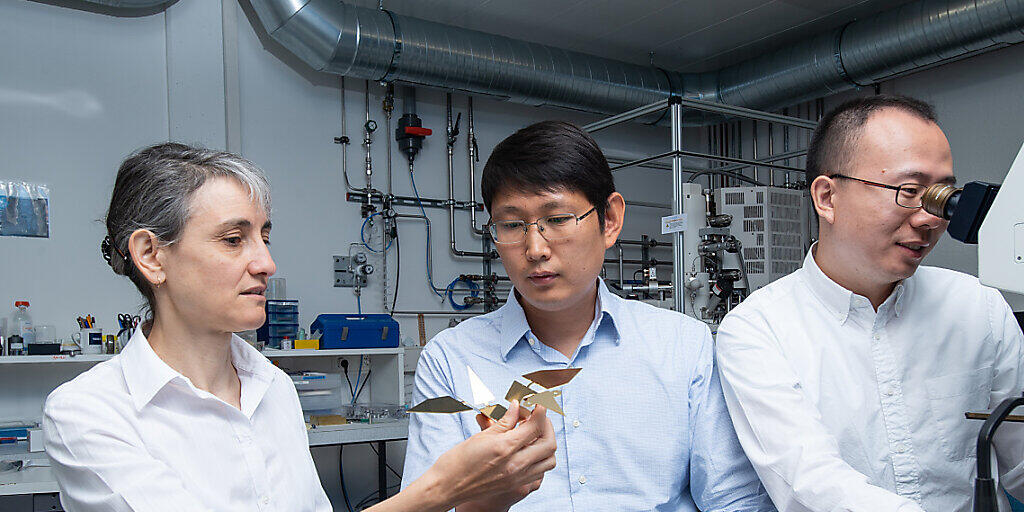 Laura Heyderman und Tian-Yun Huang (Mitte) betrachten ein vergrössertes Modell des Mikroroboters, der an einen Origami-Vogel erinnert. Jizhai Cui (rechts) betrachtet den echten Mikroroboter unter einem Mikroskop.