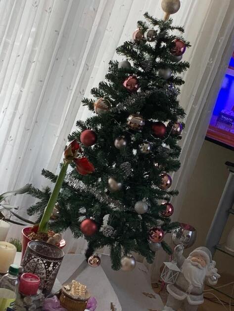 Fotowettbewerb: Zeig uns Deinen Christbaum 2022