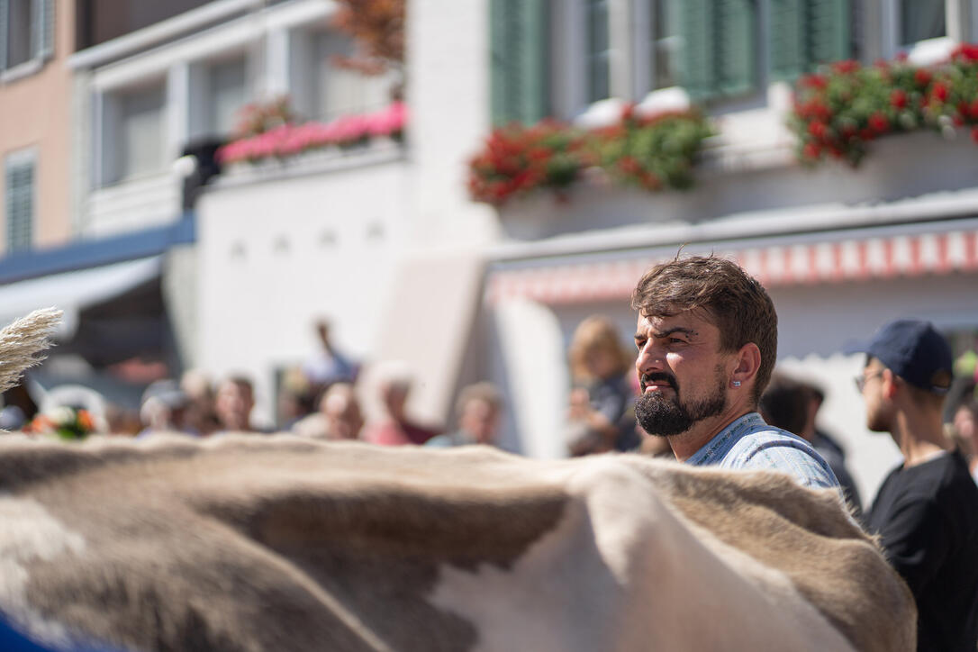 Alpabfahrt in Mels