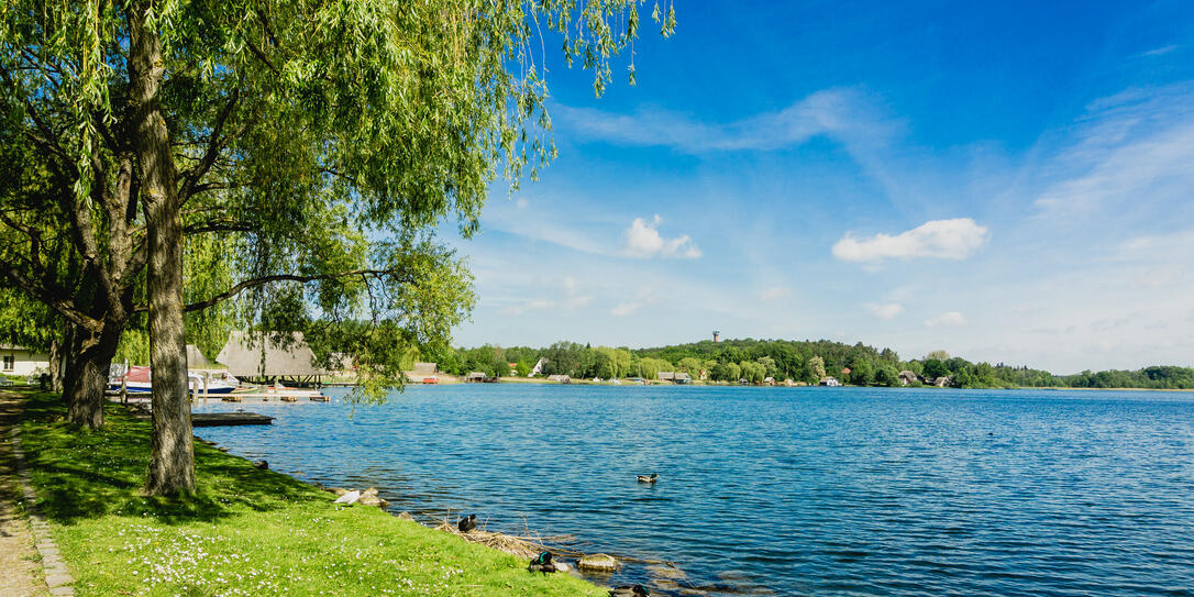 panorama of Krakow am See town center and lake