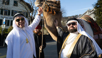 Presidents Club: Kamele in Mauren