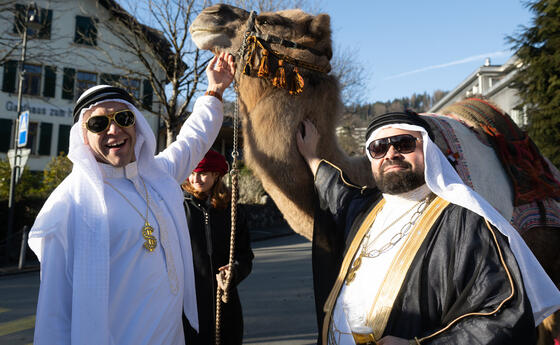 Presidents Club: Kamele in Mauren