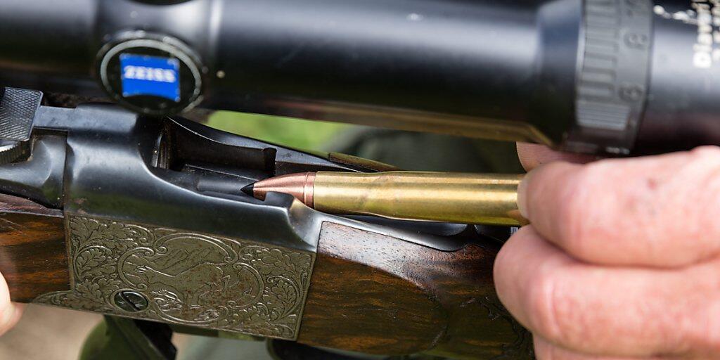 Bündner Jäger und Jägerinnen schossen auf der diesjährigen Hochjagd 30 Prozent mehr Hirsche und Rehe (Themenbild). Bündner Jäger und Jägerinnen schossen auf der diesjährigen Hochjagd 30 Prozent mehr Hirsche und Rehe (Themenbild).