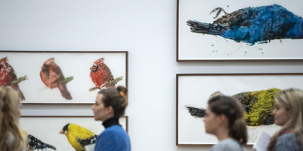 Die Serie "Angry Birds of America" von Ida Applebroog im Kunstmuseum Thun.