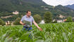 Kulinarik Feld Flurgang durch das Haberfeld in Vaduz (23.06.2026)