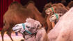 Circus Royal in Buchs