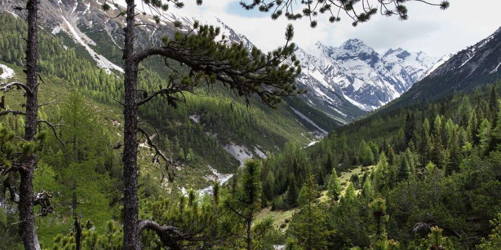Blick ins Cluozzatal im Nationalpark. Wald ist kostbar: 150 Billionen US-Dollar würde er kosten, würde man ihn seinem Nutzen entsprechend veräussern. (Archiv)