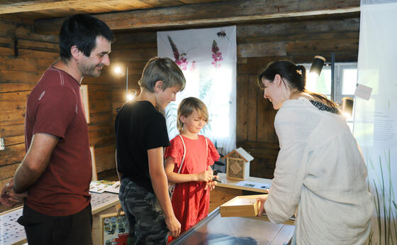 Reiseziel Museum