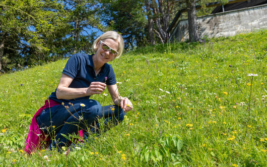 essbare Wildpflanzen