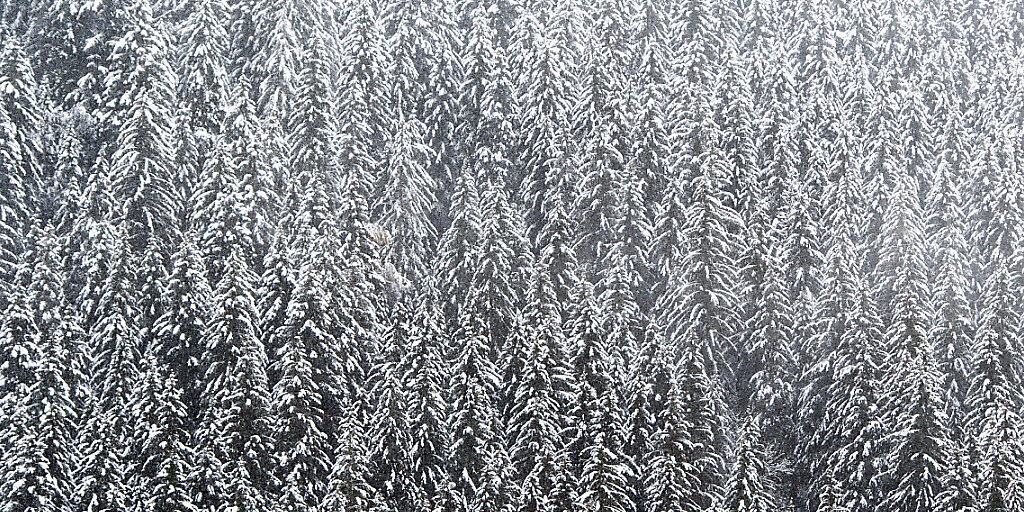 Der Wintereinbruch wirkt sich in Graubünden aus: Steigende Lawinengefahr, geschlossene Pässe, dazu war Samnaun am Montagmorgen auf der Schweizer Seite nicht erreichbar. (Symbolbild KEYSTONE/Anthony Anex)