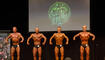 IFBB Mr Universe Liechtenstein (11.04.2026)