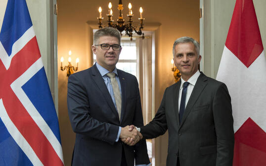 Bundesrat Didier Burkhalter (rechts) begrüsst Gunnar Bragi Sveinsson, Aussenminister von Island, am Dienstag in Bern.