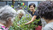 Sommerprojekt Haus St. Florin Vaduz 150707