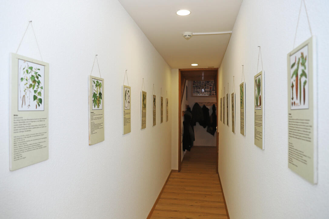 Tag der offenen T&uuml;r im Vereinshaus in Ruggell