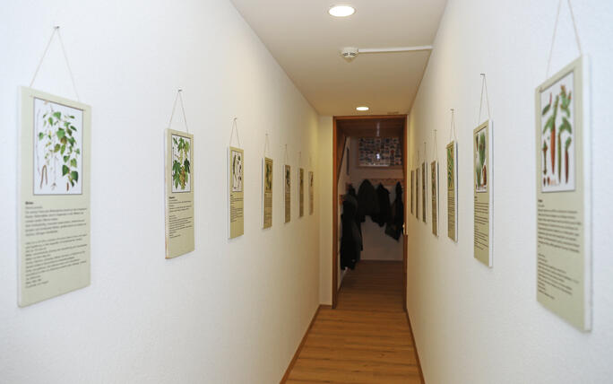 Tag der offenen T&uuml;r im Vereinshaus in Ruggell