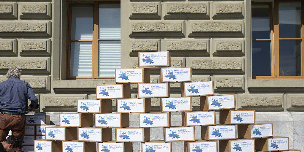 Mitglieder des Initiativkomitees stapeln die Kartons mit den Unterschriften für die Massentierhaltungsinitiative bei der Bundeskanzlei in Bern auf. Mitglieder des Initiativkomitees stapeln die Kartons mit den Unterschriften für die Massentierhaltungsinitiative bei der Bundeskanzlei in Bern auf.