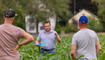 Kulinarik Feld Flurgang durch das Haberfeld in Vaduz (23.06.2026)