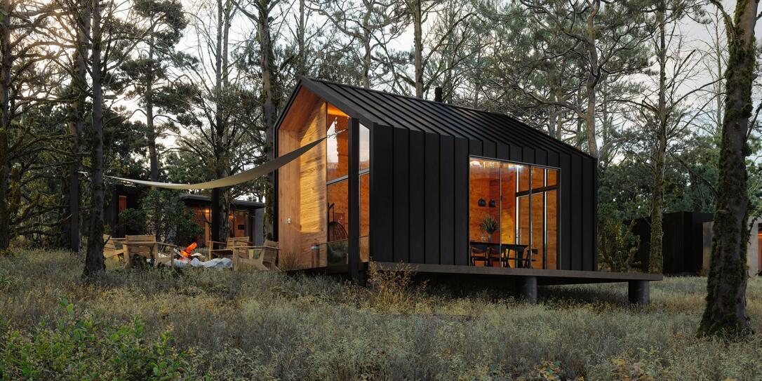 Modern Tiny House In Woodland