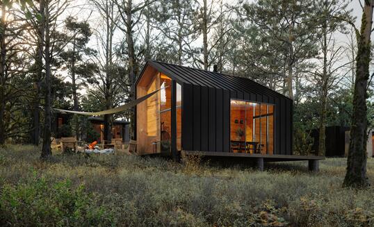 Modern Tiny House In Woodland