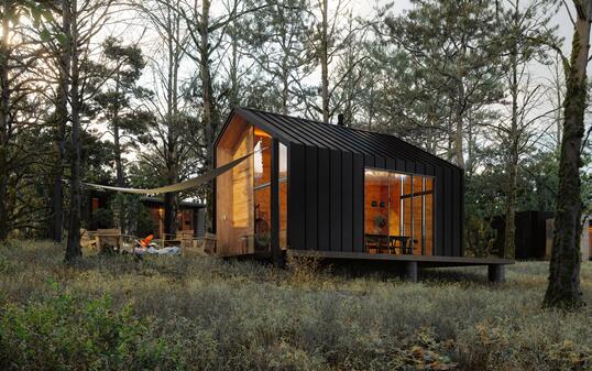 Modern Tiny House In Woodland