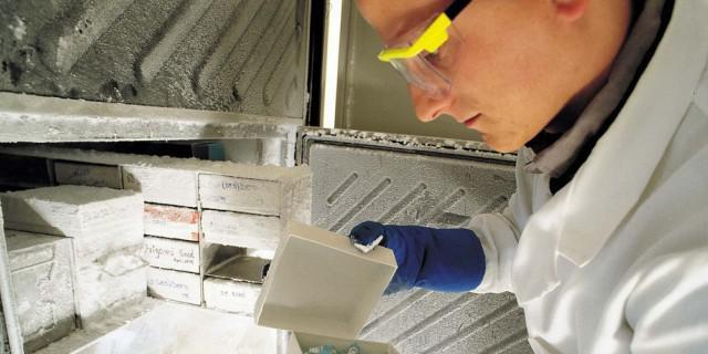 Merck-Mitarbeiter im Labor (Archiv)