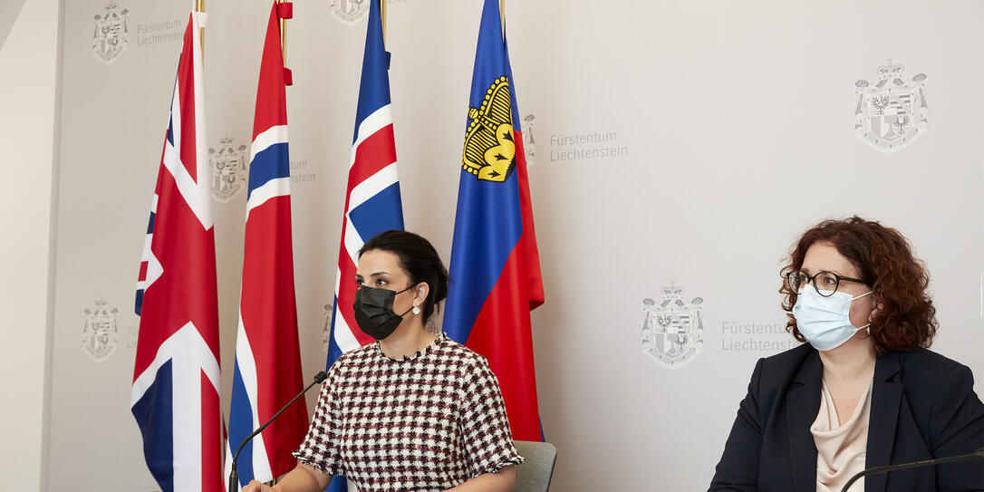 Regierung Liechtenstein: Virtuelles Treffen / Videokonfernenz  2