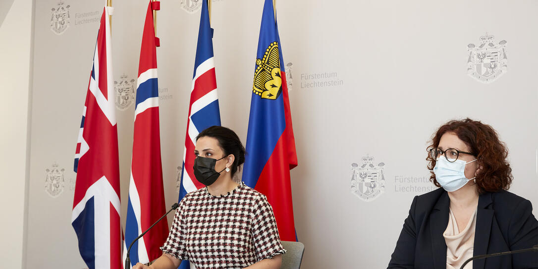 Regierung Liechtenstein: Virtuelles Treffen / Videokonfernenz 2 Regierung Liechtenstein: Virtuelles Treffen / Videokonfernenz 2