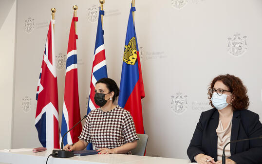 Regierung Liechtenstein: Virtuelles Treffen / Videokonfernenz  2